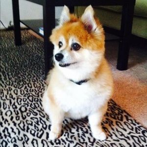 Meet your Posher, Malgorzata